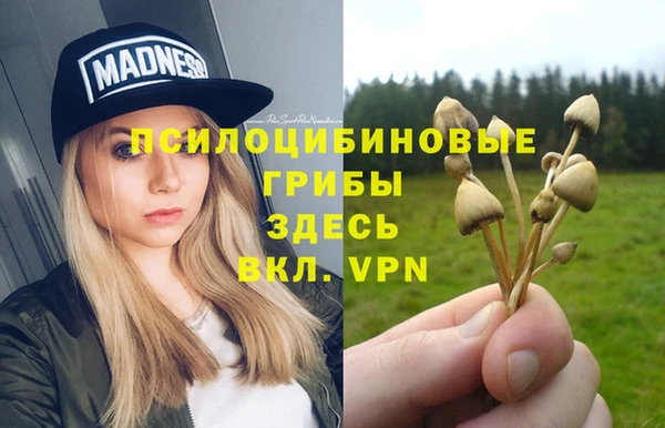 амфетамин Алексеевка