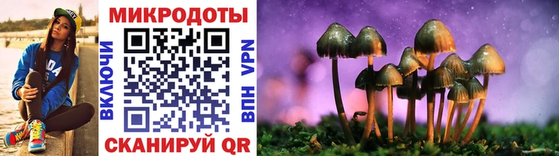Галлюциногенные грибы Psilocybe mega ONION Навашино