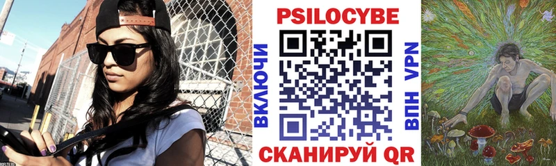 Псилоцибиновые грибы Psilocybine cubensis Навашино